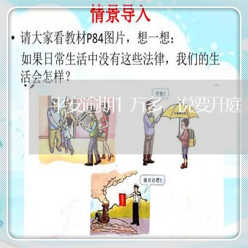 平安逾期1万多 说要开庭